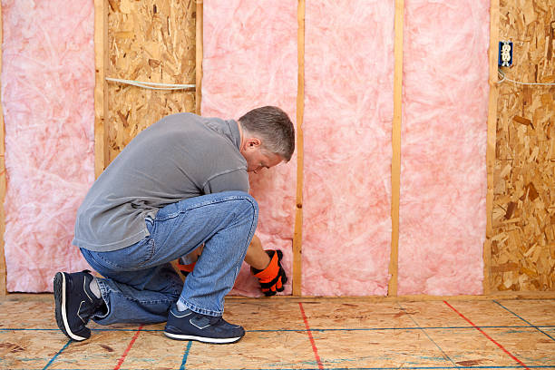 Best Specialty Insulation in Jean Fitte, LA
